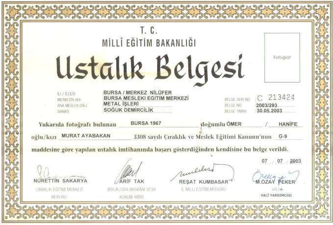 USTALIK BELGESİ